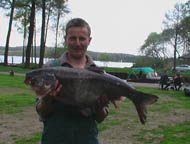 Marmorkarpfen